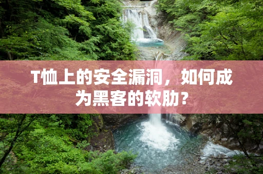 T恤上的安全漏洞，如何成为黑客的软肋？