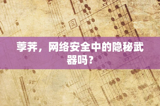 荸荠，网络安全中的隐秘武器吗？