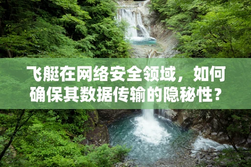 飞艇在网络安全领域，如何确保其数据传输的隐秘性？