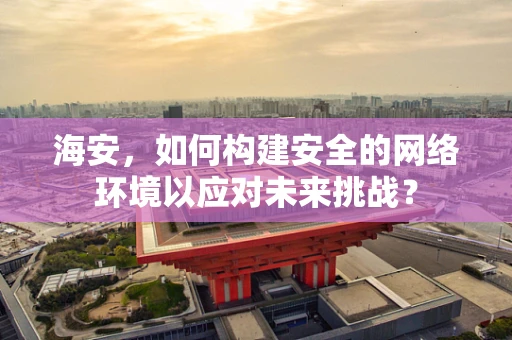海安，如何构建安全的网络环境以应对未来挑战？