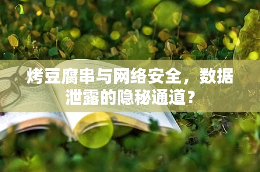 烤豆腐串与网络安全，数据泄露的隐秘通道？