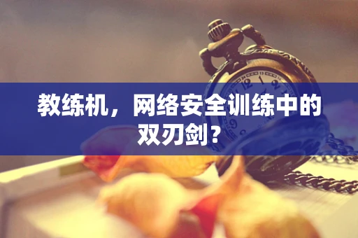 教练机，网络安全训练中的双刃剑？
