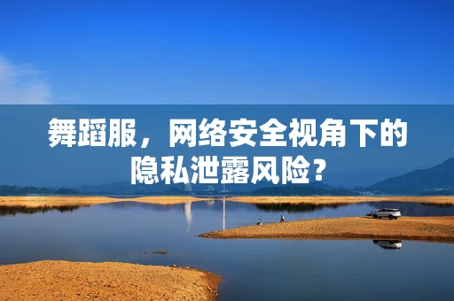 舞蹈服，网络安全视角下的隐私泄露风险？
