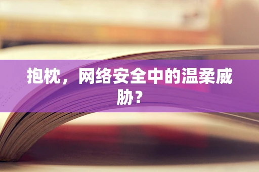 抱枕，网络安全中的温柔威胁？