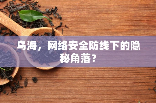 乌海，网络安全防线下的隐秘角落？