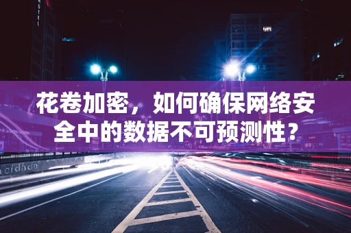 花卷加密，如何确保网络安全中的数据不可预测性？