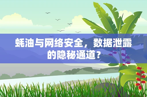 蚝油与网络安全，数据泄露的隐秘通道？
