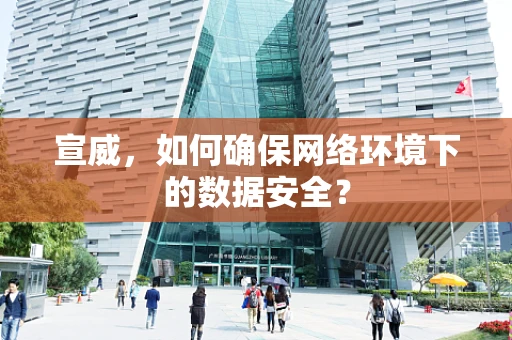 宣威，如何确保网络环境下的数据安全？