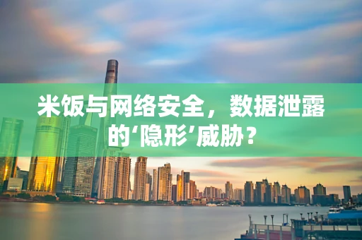 米饭与网络安全，数据泄露的‘隐形’威胁？