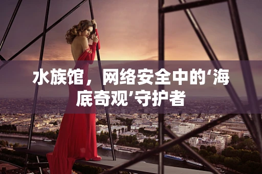 水族馆，网络安全中的‘海底奇观’守护者