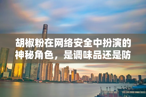 胡椒粉在网络安全中扮演的神秘角色，是调味品还是防御策略？