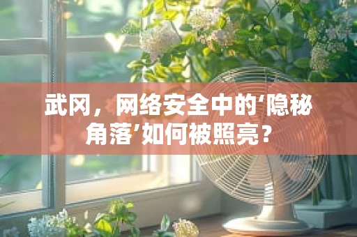 武冈，网络安全中的‘隐秘角落’如何被照亮？