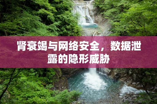 肾衰竭与网络安全，数据泄露的隐形威胁