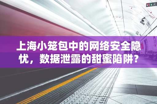 上海小笼包中的网络安全隐忧，数据泄露的甜蜜陷阱？