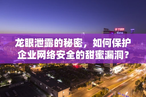 龙眼泄露的秘密，如何保护企业网络安全的甜蜜漏洞？