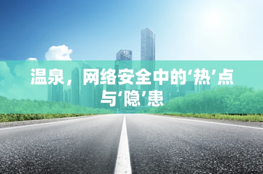 温泉，网络安全中的‘热’点与‘隐’患