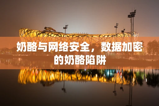 奶酪与网络安全，数据加密的奶酪陷阱