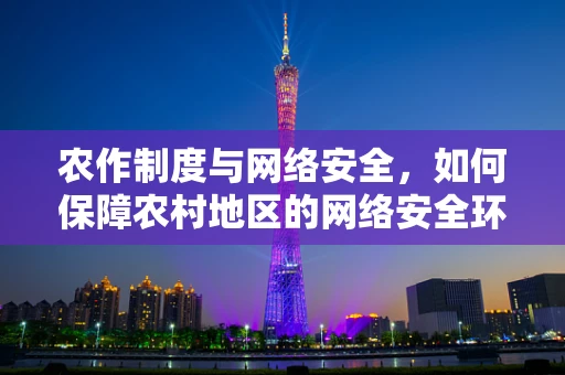 农作制度与网络安全，如何保障农村地区的网络安全环境？