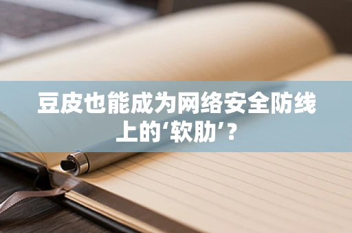 豆皮也能成为网络安全防线上的‘软肋’？