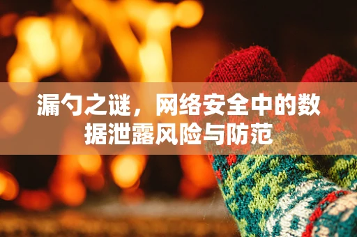 漏勺之谜，网络安全中的数据泄露风险与防范