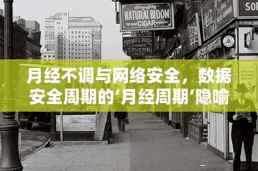 月经不调与网络安全，数据安全周期的‘月经周期’隐喻？