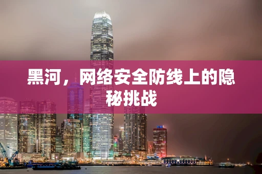 黑河，网络安全防线上的隐秘挑战