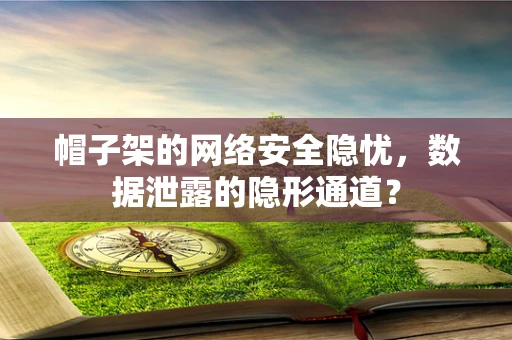 帽子架的网络安全隐忧，数据泄露的隐形通道？