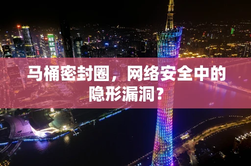 马桶密封圈，网络安全中的隐形漏洞？