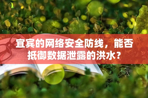 宜宾的网络安全防线，能否抵御数据泄露的洪水？