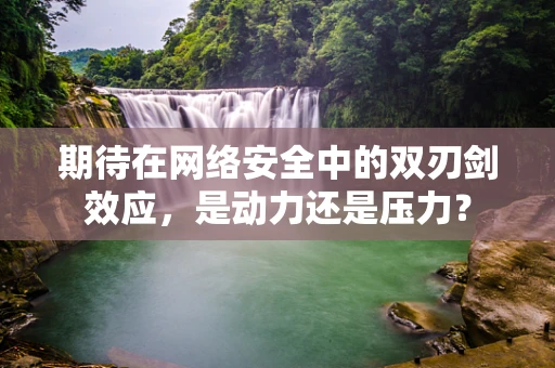 期待在网络安全中的双刃剑效应，是动力还是压力？