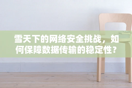 雪天下的网络安全挑战，如何保障数据传输的稳定性？