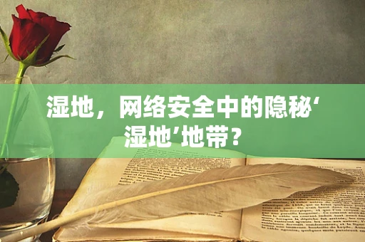 湿地，网络安全中的隐秘‘湿地’地带？