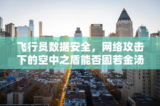 飞行员数据安全，网络攻击下的空中之盾能否固若金汤？