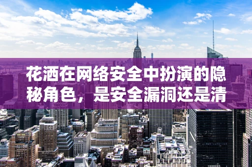 花洒在网络安全中扮演的隐秘角色，是安全漏洞还是清洁工具？