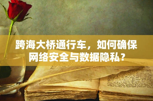 跨海大桥通行车，如何确保网络安全与数据隐私？