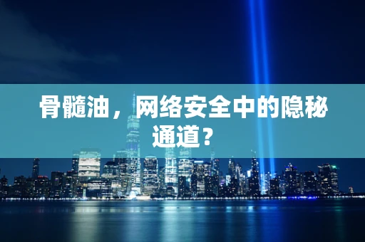 骨髓油，网络安全中的隐秘通道？