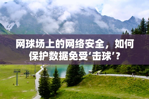网球场上的网络安全，如何保护数据免受‘击球’？