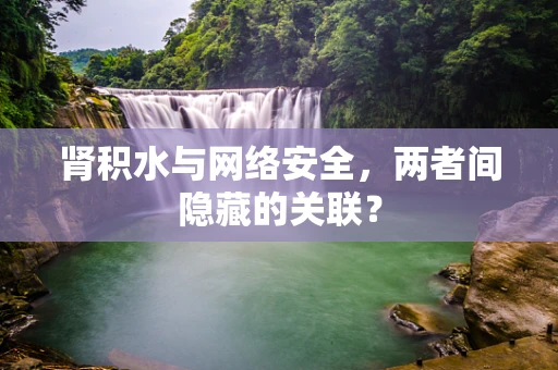 肾积水与网络安全，两者间隐藏的关联？