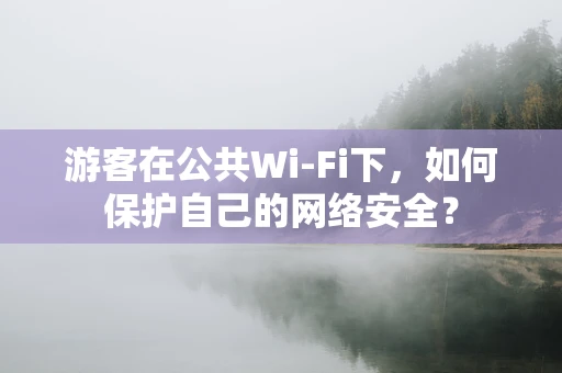 游客在公共Wi-Fi下，如何保护自己的网络安全？
