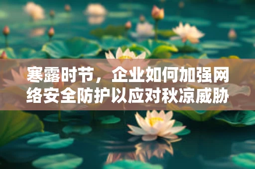 寒露时节，企业如何加强网络安全防护以应对秋凉威胁？