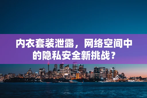 内衣套装泄露，网络空间中的隐私安全新挑战？