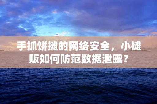 手抓饼摊的网络安全，小摊贩如何防范数据泄露？