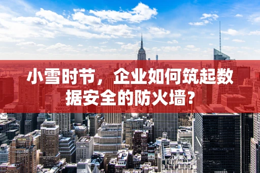 小雪时节，企业如何筑起数据安全的防火墙？