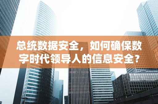 总统数据安全，如何确保数字时代领导人的信息安全？