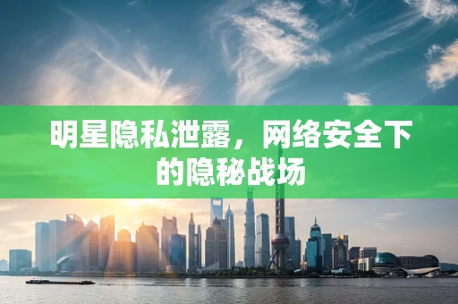 明星隐私泄露，网络安全下的隐秘战场