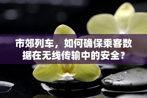 市郊列车，如何确保乘客数据在无线传输中的安全？