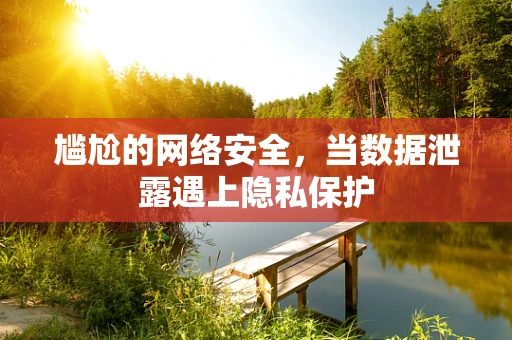尴尬的网络安全，当数据泄露遇上隐私保护