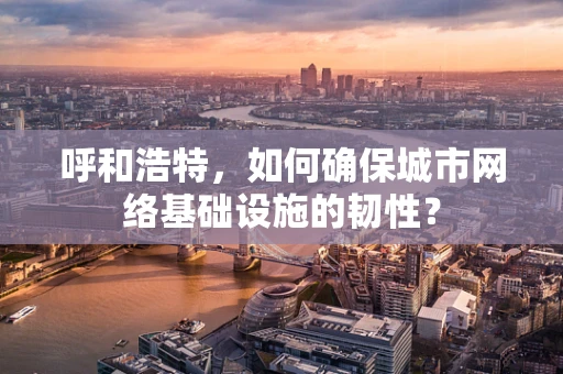 呼和浩特，如何确保城市网络基础设施的韧性？