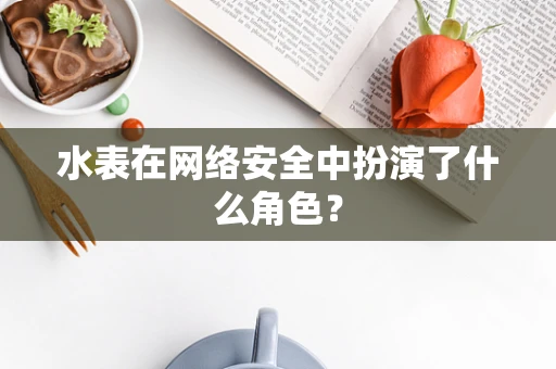 水表在网络安全中扮演了什么角色？