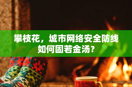 攀枝花，城市网络安全防线如何固若金汤？